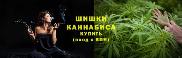 ешки Аркадак