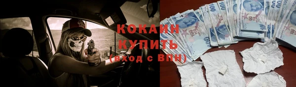 мет Арсеньев