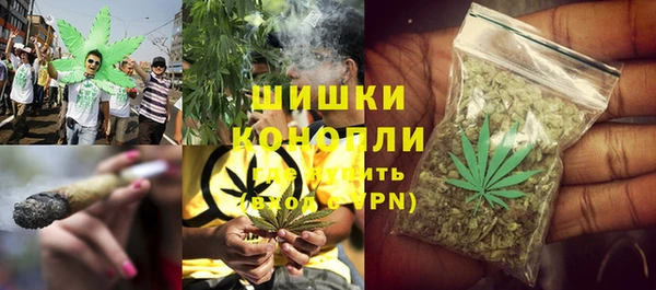 ешки Аркадак
