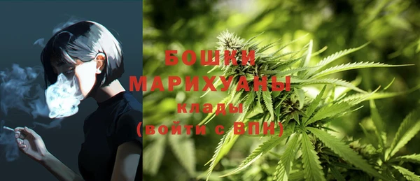 ешки Аркадак